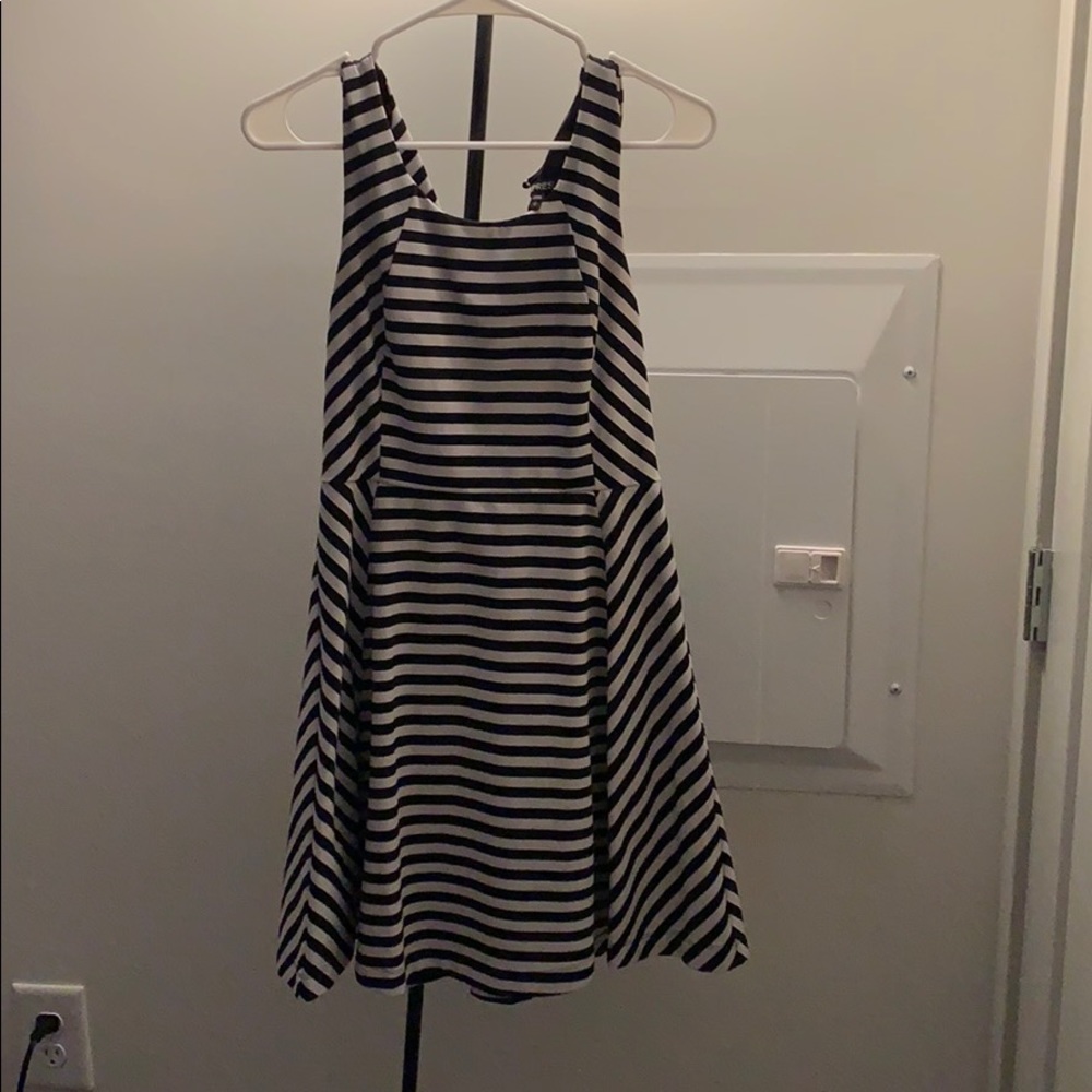 Express Flare Striped Dress